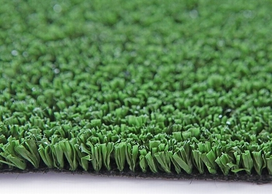 UV Resistant Artificial Cricket Pitch Artificial Grass 6600dtex 10mm Height